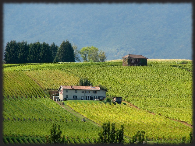 Expert_immobilier